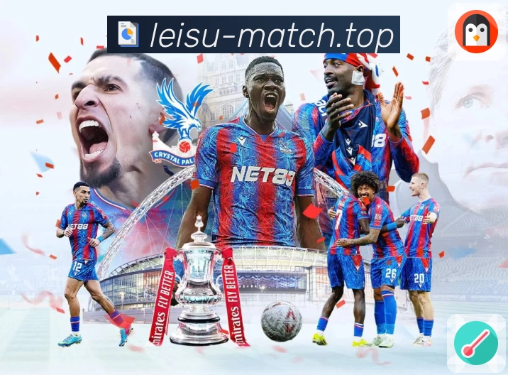 雷速落地页支持